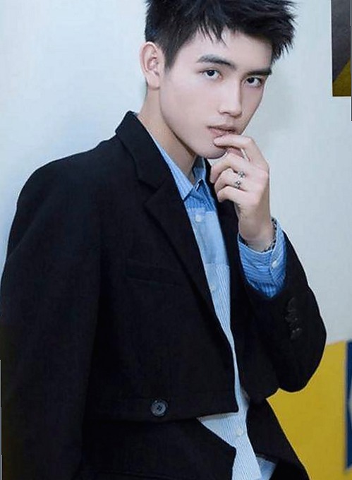 关于www91与免费版的最新介绍与下载指南