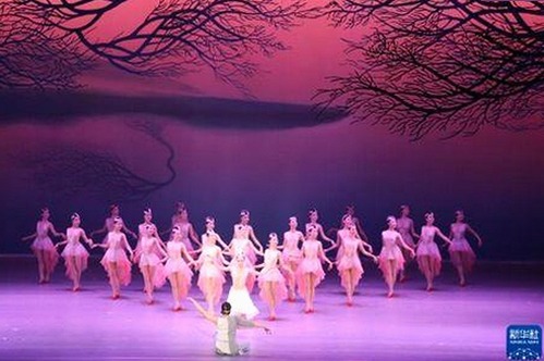 关于高清乱码🔞❌♋毛片官方版免费版的最新讨论与分析