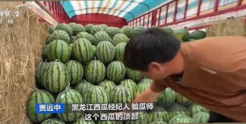 关于高清乱码🔞❌♋毛片官方版免费版的最新讨论与分析