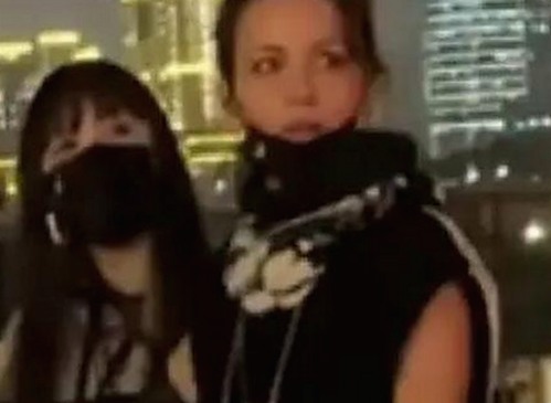 最新西瓜视频最新版下载引领潮流，开启高清观影新体验