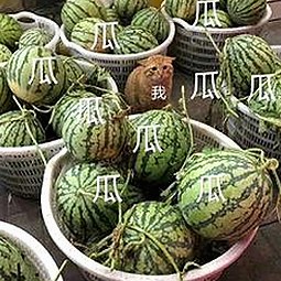 揭秘7777官方版免费版：娱乐圈背后隐藏的最新动态