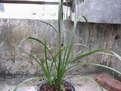 已满十八岁60分钟电视剧官方版下载：完整体验与最新资源指南