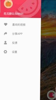 全面解析91免费版官方版的最新动态与资源获取