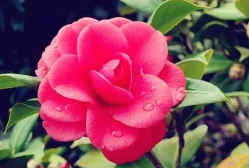 全面解析：91下载免费版下载带来的新体验与背景