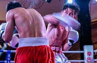 91下载与免费版：全面介绍及最新资源推荐