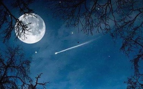 高清乱码🔞❌♋波萝视频最新版下载：最新资源与安全指南