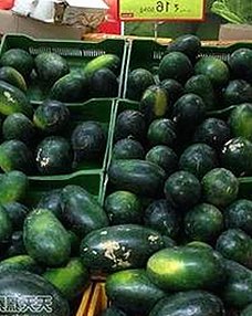 人or狗dna与猪ordna的配合与防治官方版下载：揭秘中卫市的最新技术应用