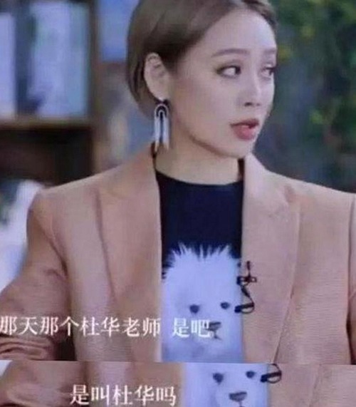 探秘豆花视频官方版免费版：最新动态与相关资源介绍