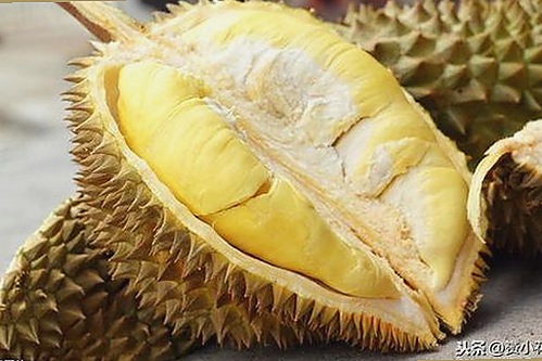 刘宇宁面对🔞🍌进🍑里❌❌❌面事件的真实反应