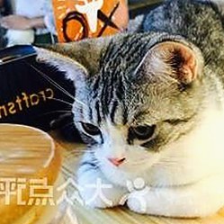 黄色软件下载免费官方版：最新版本与使用指南