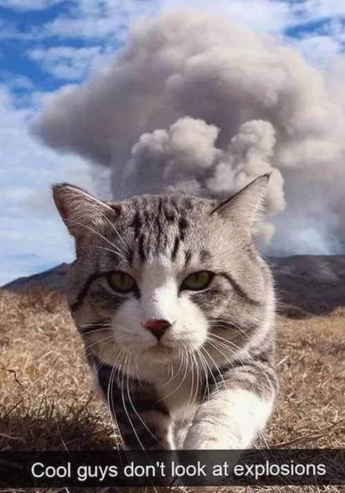 深入了解www.91色 萝网站樱花最新版：成人内容的最新潮流