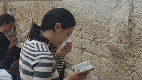 关于黄色软件下载免费版的最新动态与资源介绍