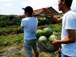 最新欧美知名网黄资源：黄色软件下载助你轻松获取各类高清影片