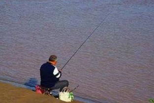 最新免费的网站www下载资源解析：多平台内容综合介绍