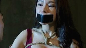 详细解析：51黑料官方版免费版引领新潮流的现状与发展