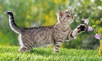 关于91禁🍆🍑🔞❌❌❌看片17cco免费版的最新讨论