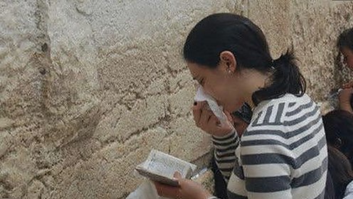 深入了解桃花视频安装包下载的最新动态与安全指南