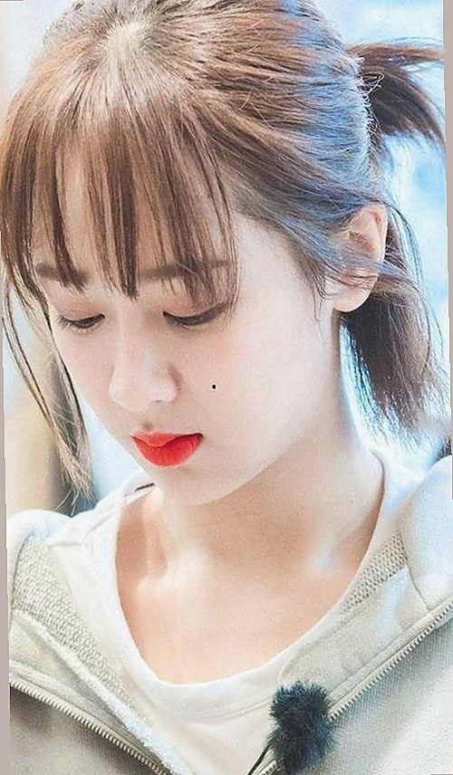 最新人动物高清免费观看普通话官方版上线，全面满足观众需求