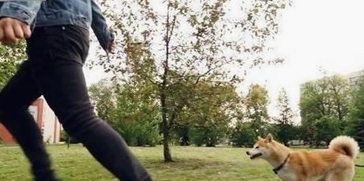 探索日批视频官方版正版下载：最新资源与热议动态