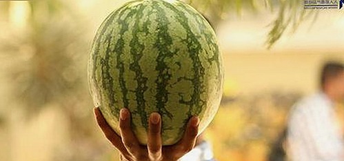 秦皇岛市热议：91香蕉视频官方版下载免费版引领新潮流