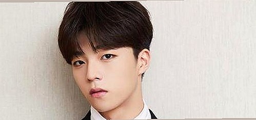 最新体验：51软件免费版助力多平台内容丰富资源获取