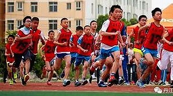 北海市用户关注：免费视频官方版下载攻略与最新动态