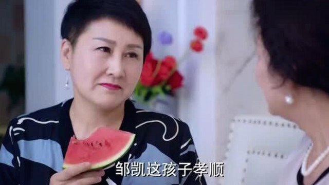 最新黄页网站官方版下载让你轻松掌握最新资源