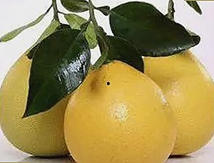 最新曝光：高清乱码🔞❌♋免91最新版下载助力娱乐圈谭松韵幕后揭秘