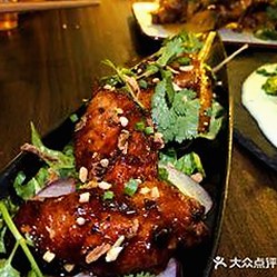 最新揭秘：色虎最新版下载背后的故事与影响力