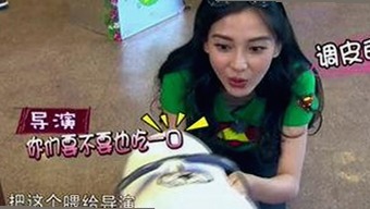 最新日批官方版下载解析：多平台选择与实用指南