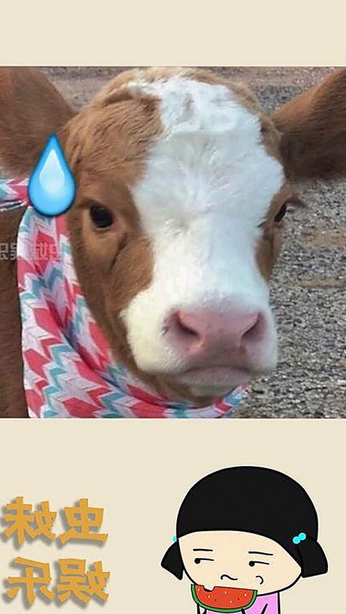 18馃埐现象引发热议，背后隐藏的娱乐圈新趋势