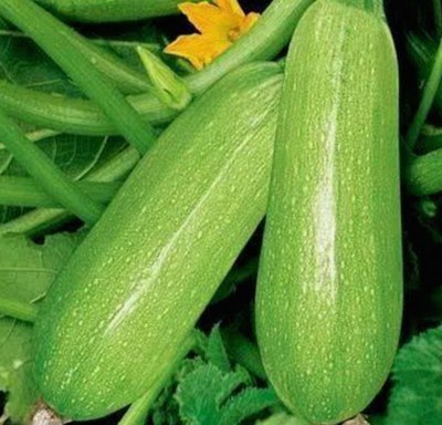 探索最佳选择：91免费网站免费版下载带你体验多彩娱乐