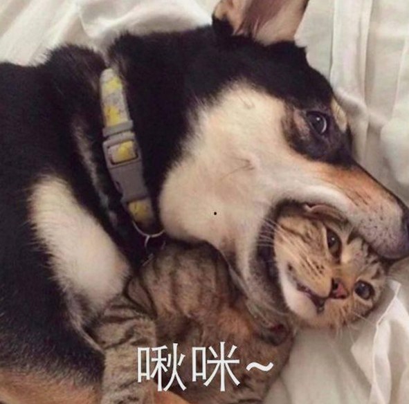 下载干逼绿色版：体验最纯净的视觉冲击