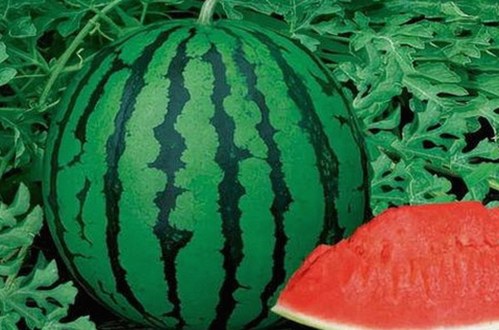 明星热议：高清🈚码🔞❌♋免91最新版下载引发关注