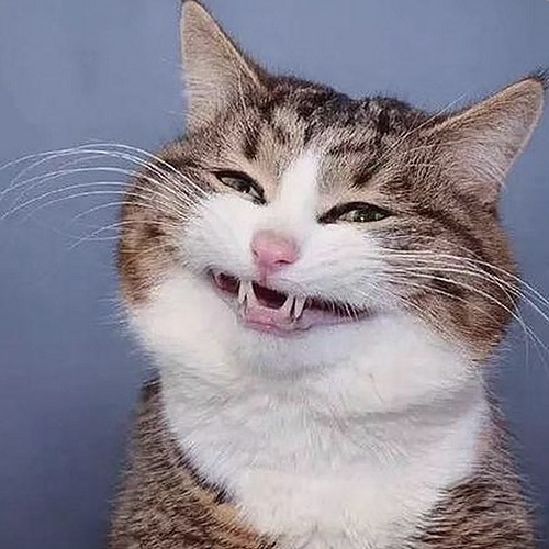 探索9.1免费网站nba入口：畅享高清资源新体验