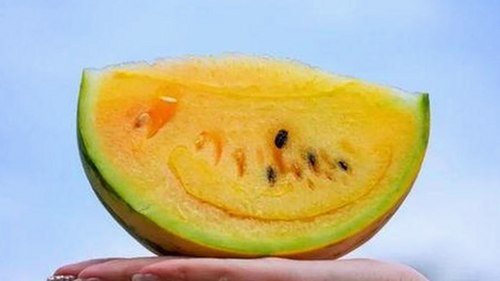 全面解析：如何找到优质的看片免费版资源