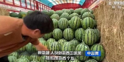 揭秘“小🐔🐔伸进🈲18网站官方版免费版”的真实内容与争议