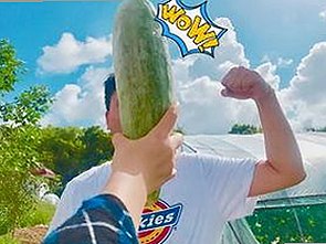 探索91视频网站的多样内容与最新动态