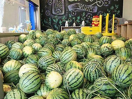 最新发现：小🐔🐔伸进🈲🔞🔞A最新版下载引领潮流