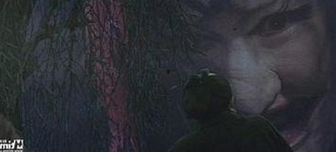 探索9+1视频免费官方版的最新动态与行业反差