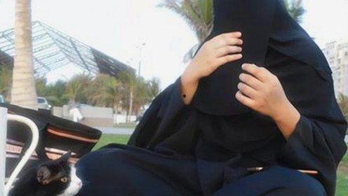 已满十八岁电视剧完整版官方版免费版详细介绍