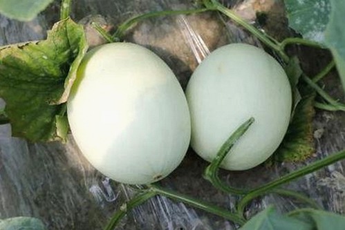 樱花视频带你了解最新娱乐动态和精彩内容