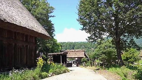 揭秘十大黄色软件：让你不再迷茫的选择对比