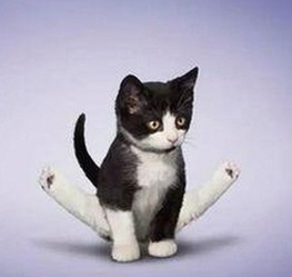 成人网最新版下载：最新资源整合与内容指南