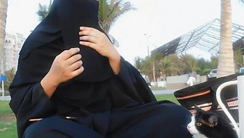 最新破解揭秘：如何免费观看60分钟电视剧中国版官方版