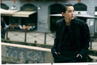 全面解析：鲁啊鲁官方版下载及相关热门资源介绍