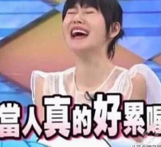 深入了解A片免费版官方版：宁波市最新在线观看体验