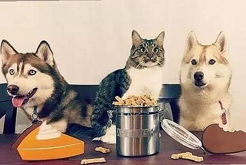 全面解析：看片v1.23.43 安卓手机版的最新使用体验