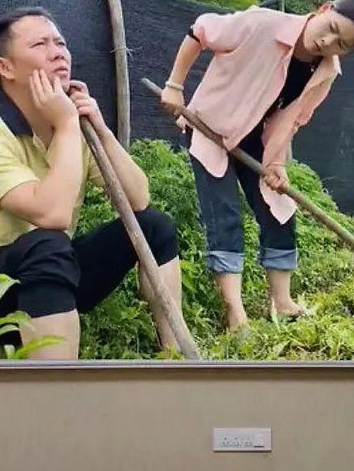 揭秘调色大片视频60分钟安装包下载：松原市影视爱好者关注的焦点