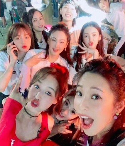 含羞草黄免费版下载：最新版本体验指南